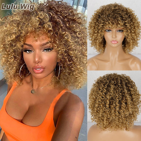 Afro Kinky Curly Wig - ziplxx.fun